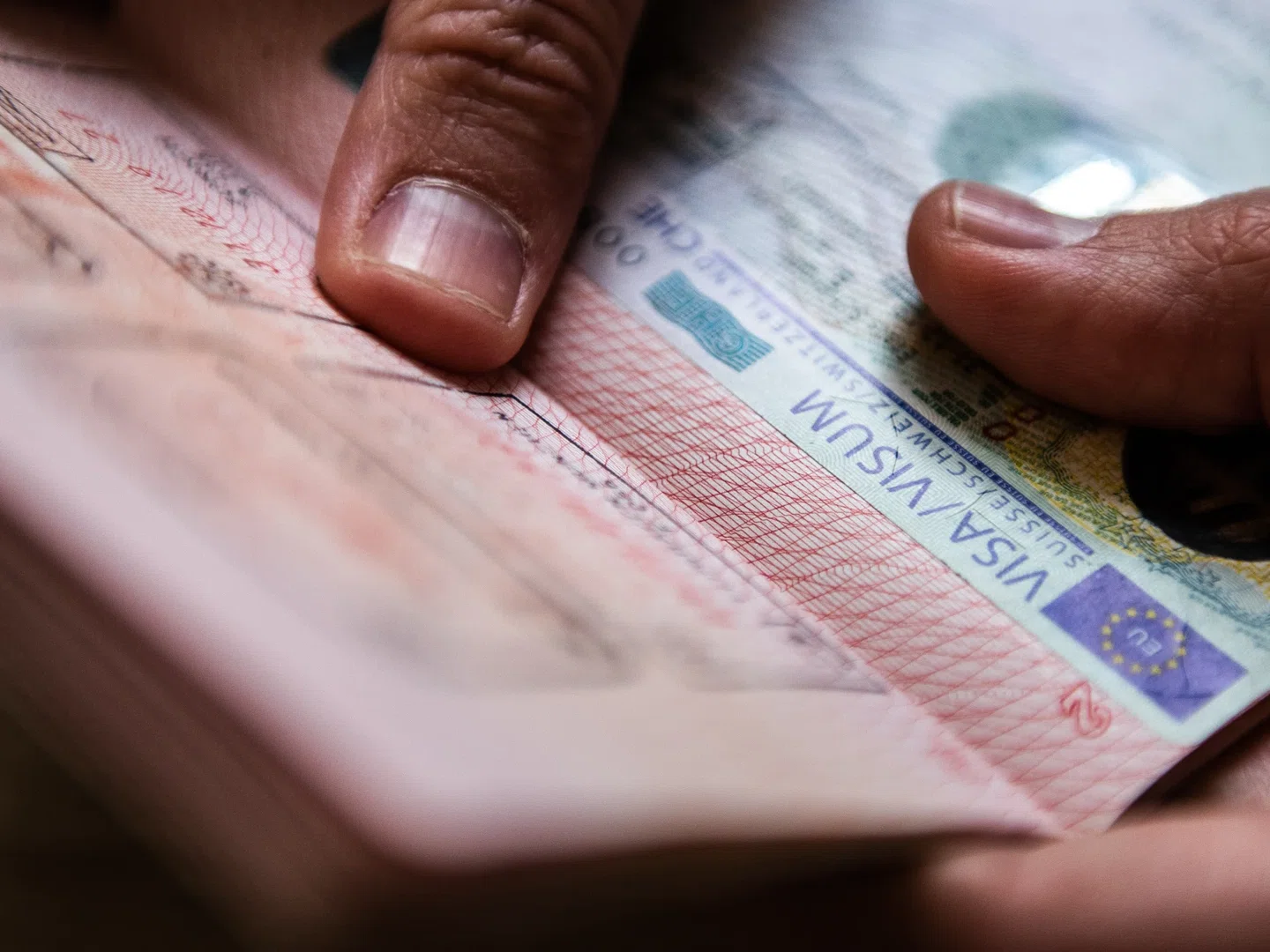 Ужесточение шенгенских виз 2026: официальная реакция МИД РФ