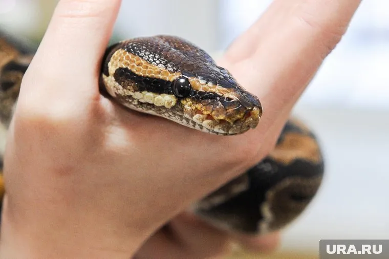 Сейчас состояние пострадавшего стабильно