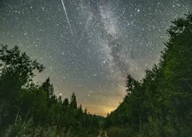 Фотография из галереи