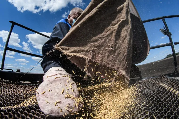 Посевные работы в агрохозяйстве «Каменское». Свердловская область, поселок Лебяжье