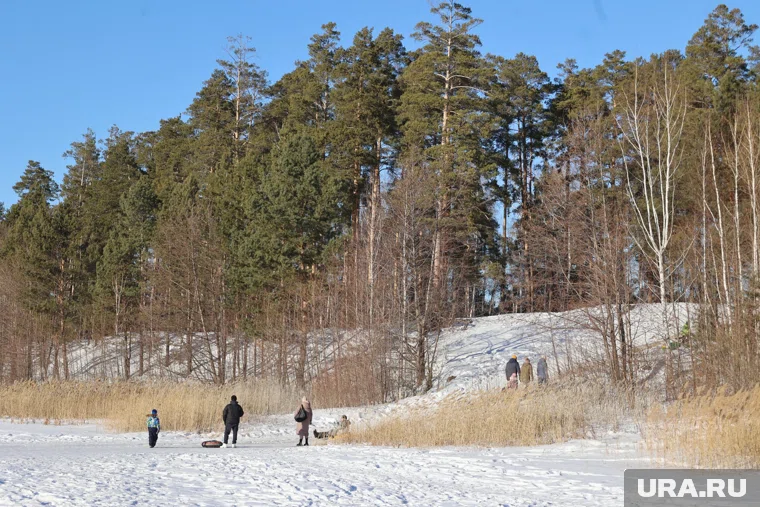 У девушки диагностировали переломы позвонков и ребра