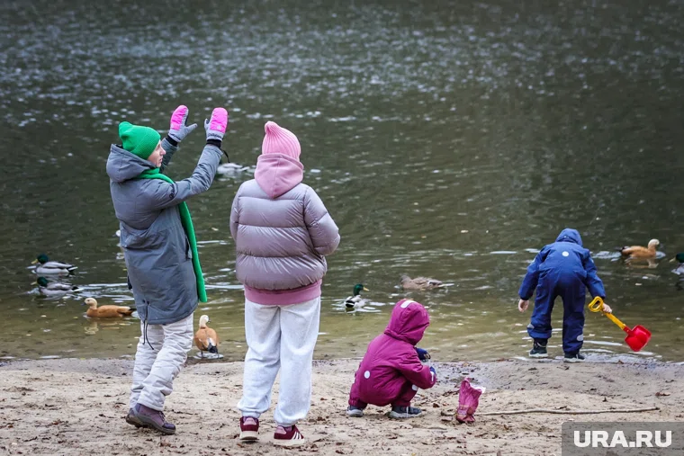 Трехлетнего ребенка внесли в украинскую базу «Миротворцев»
