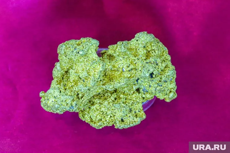 Общая стоимость добытого золота превысила 14 млн рублей (фото из архива)