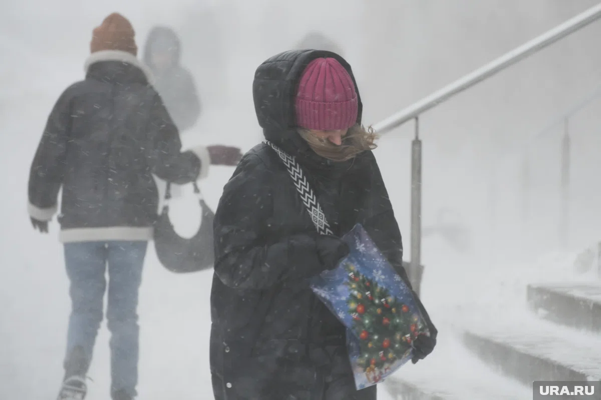 Сильный ветер накроет регион в ближайшие сутки