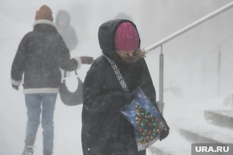 Сильный ветер накроет регион в ближайшие сутки 