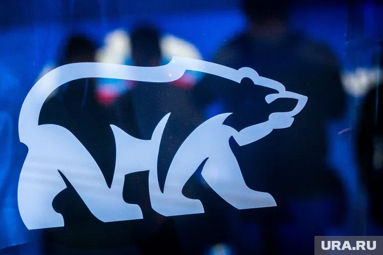 ЕР приостановила членство в партии Жанеты Матрунич