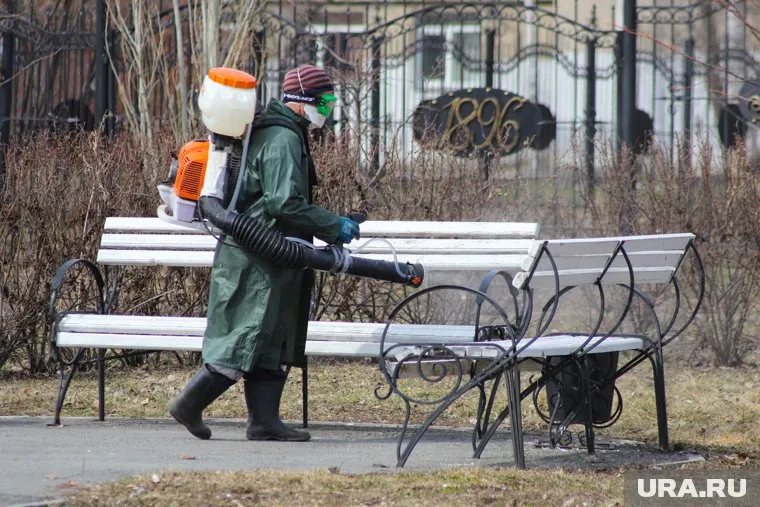 В Кургане обработали 114 территорий от клещей