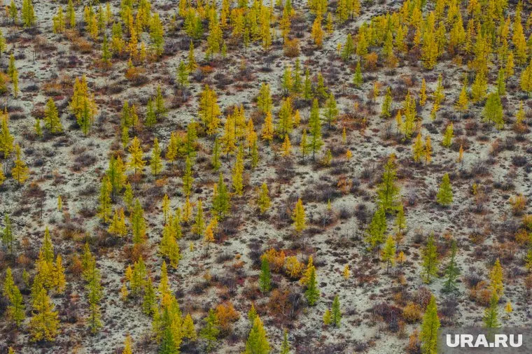 Девочка бесследно исчезла, отправившись в гости к брату