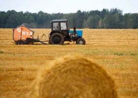 «Урожайность выросла»: пермские аграрии завершили уборочную кампанию