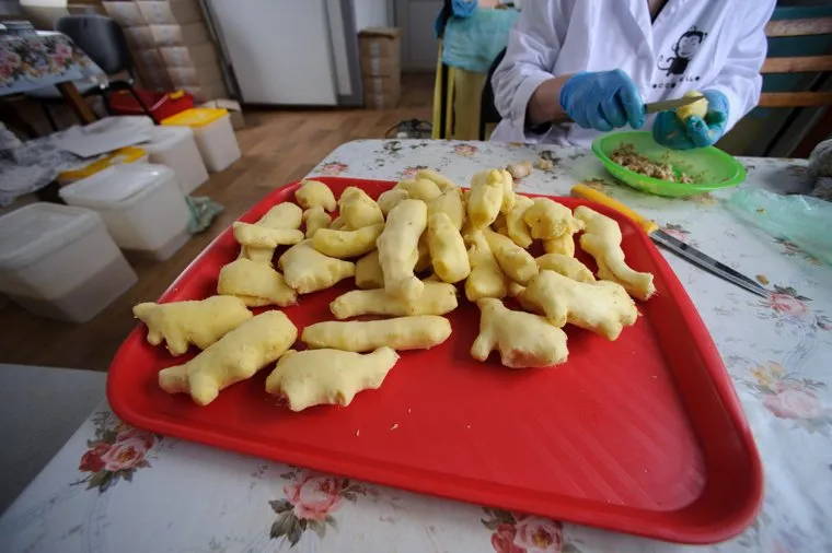 Фабрика Coccobello в деревне Малый Турыш Красноуфимского района