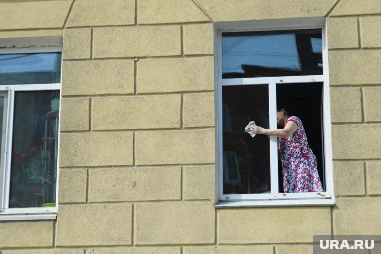 В ЛДПР предложили выплачивать домохозяйкам пособия