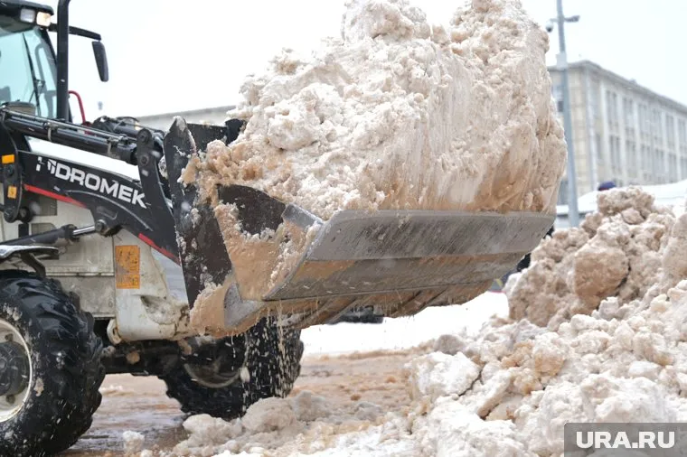 Их нашли в микрорайоне Владимирском вблизи улицы Бригадирской и в микрорайоне Камская долина