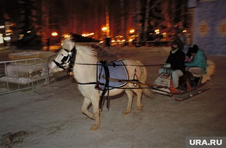 Курганцы отменили бесплатные катания из-за беспредела нелегалов