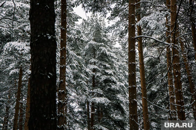 Что можно отметить 16 ноября 2025 года