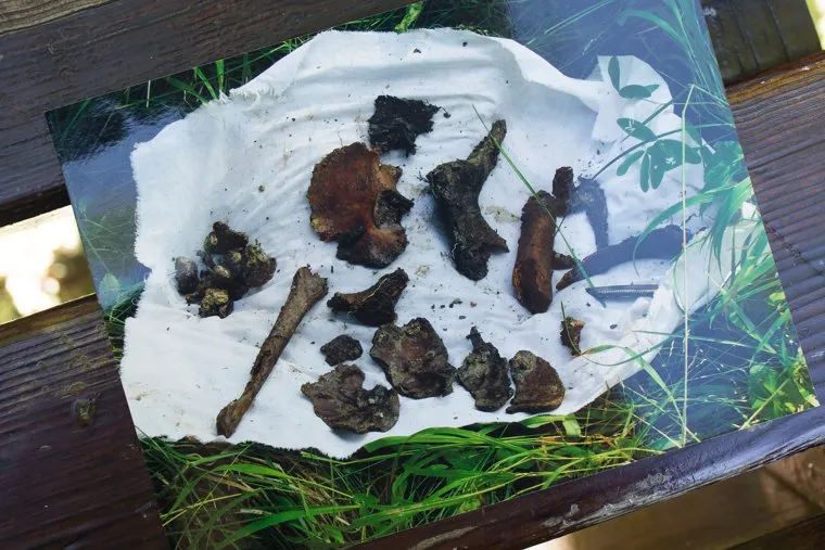 Мемориал Романовых на Старой Коптяковской дороге и зал памяти Романовых в Свердловском краеведческом музее. Екатеринбург