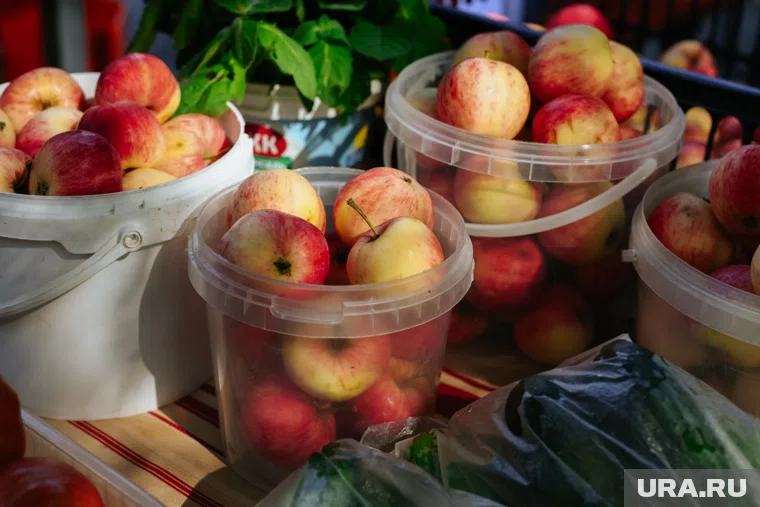 Есть множество поздних сортов яблок для выпечки