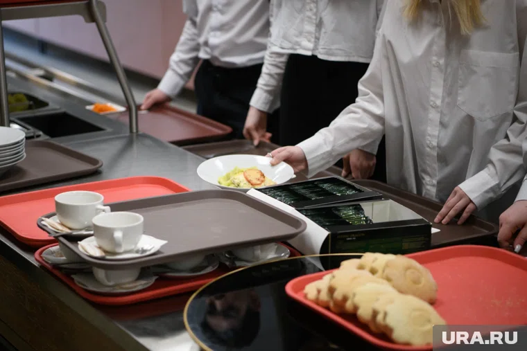 Вяленую клюкву разработали для школьного питания