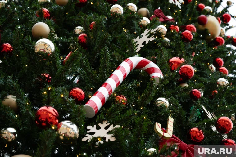 Кандидаты должны предоставить портфолио, оценки за три года и данные о спортивных и творческих достижениях