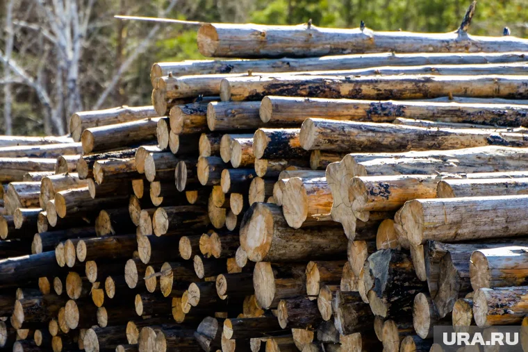 В Кургане торговцы лесоматериалами платят сотрудникам меньше минималки и не пускают их в отпуск