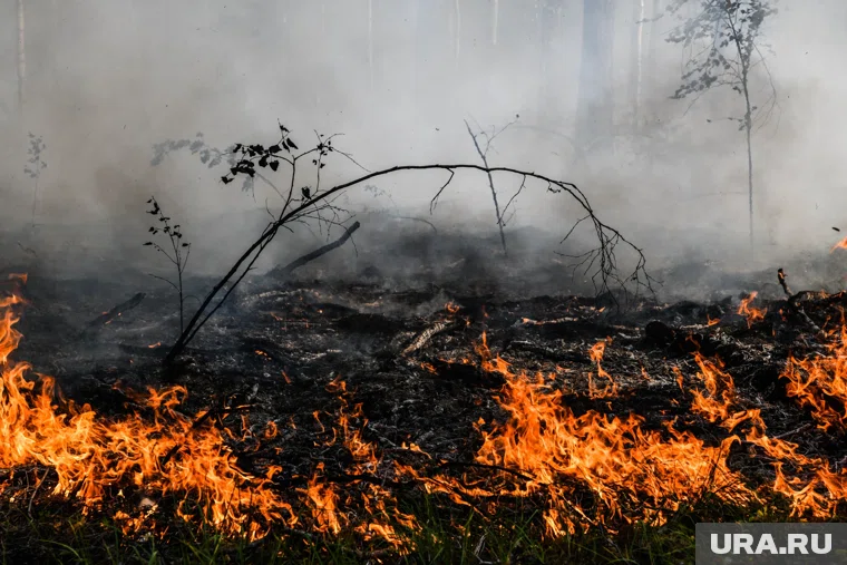На Среднем Урале зафиксирован четвертый класс горимости леса