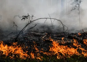 Свердловчан предупредили о высокой пожарной опасности