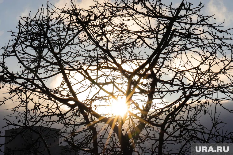 Прогноз от ученых на 8 ноября