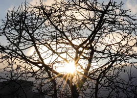 Космическая погода на 8 ноября 2025: какой силы будет магнитная буря