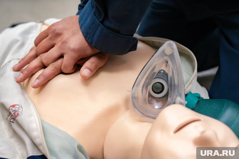 Профессиональные спасатели дадут мастер-классы всем желающим (архивное фото)