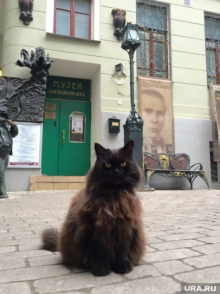 Музей убедительно просит помочь в поисках пропавшего «штатного» сотрудника