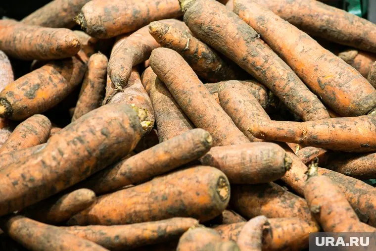 В России на 150% выросли цены на морковь