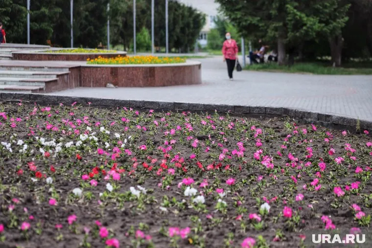 В горсаду Кургана начали высаживать цветы