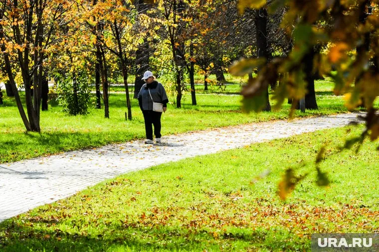 Вечером на Среднем Урале ожидается усиление ветра