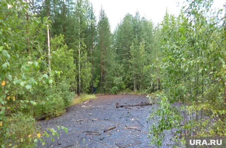 Болото разлилось недалеко от санатория «Руш»