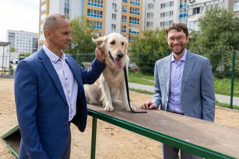 Алексей Вихарев рассказал, что площадки будут круглосуточными