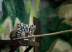 В День матери пермский зоопарк для мам будет бесплатным