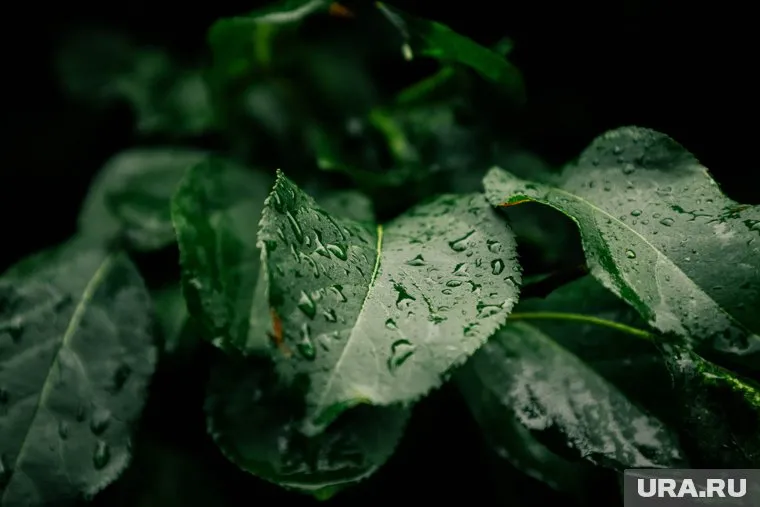 В Москву придет непогода, ожидается кратковременный дождь