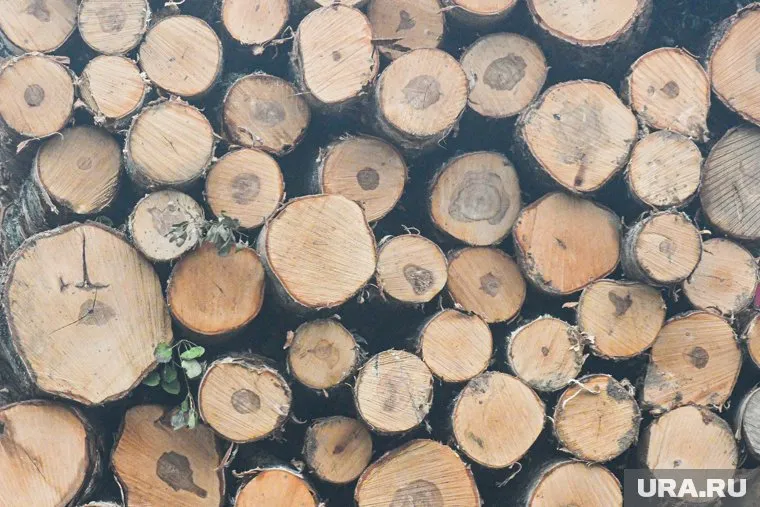 Древесина экспортирована в разные страны