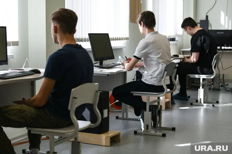 Программированием смогут заняться школьники 8-11 классов