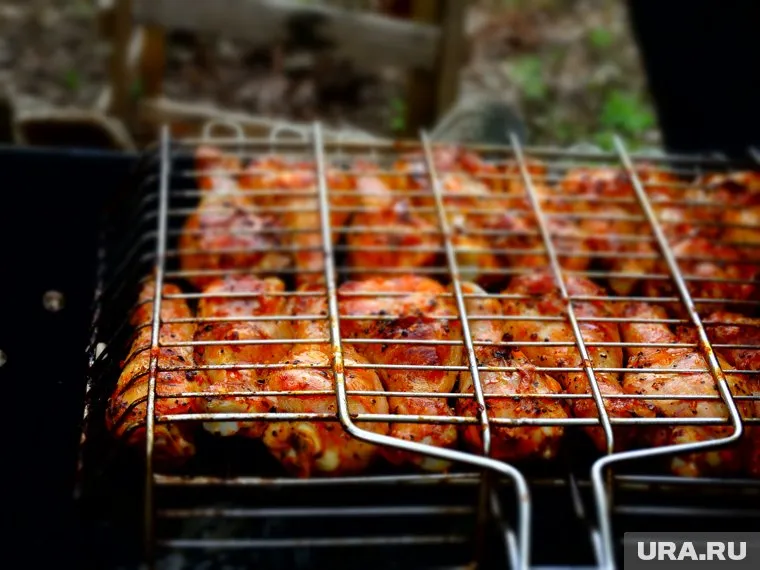 Любители вечеринок на природе ставят под угрозу здоровье окружающих