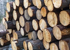 Суд взял паузу в деле о банкротстве крупного тюменского промышленника