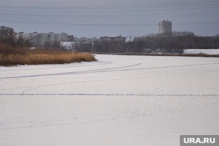 На долю Свердловской области пришлось 29,2% от общего числа загрязнений