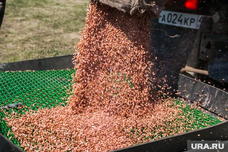 Киев рассчитывает продлить действие зерновой сделки минимум на год