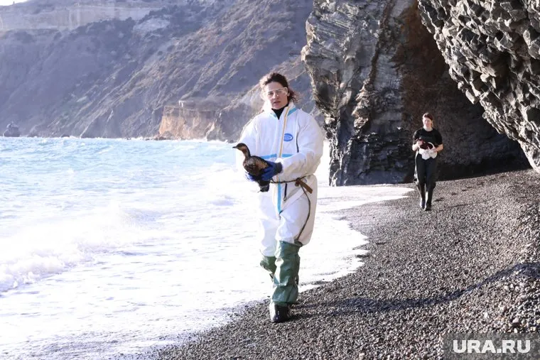 Волонтеры из ЯНАО спасли пять птиц