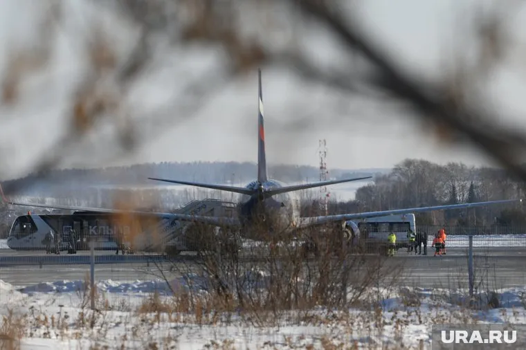 Ранее стало известно, что пользователь с ником Carroll Flatley угрожал взорвать самолет на подлете к Кольцово