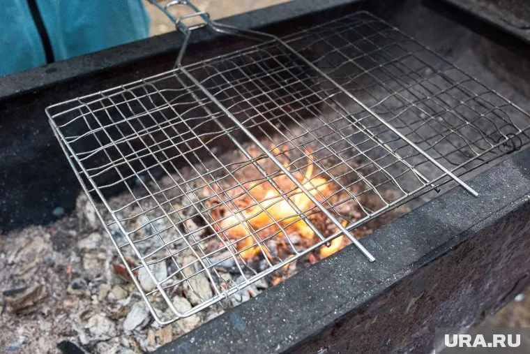 Готовить на открытом огне в лесах Тюмени нельзя до 1 июля