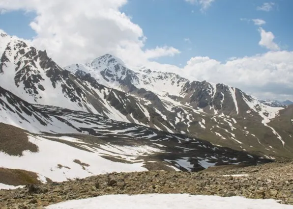 Фотография из галереи