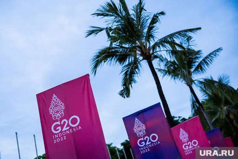 В Индонезии подозревают группу иностранцев в потенциальном срыве G20
