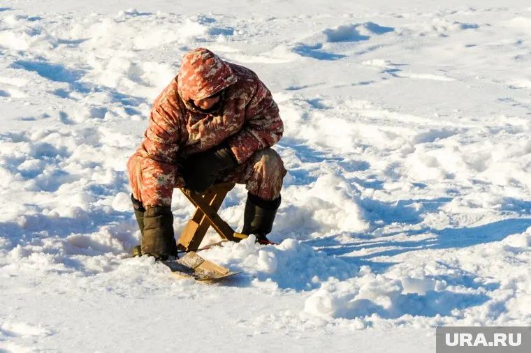 Жители предположили, что рыба в озере заражена щучьей чумой