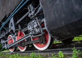 Фотография из галереи