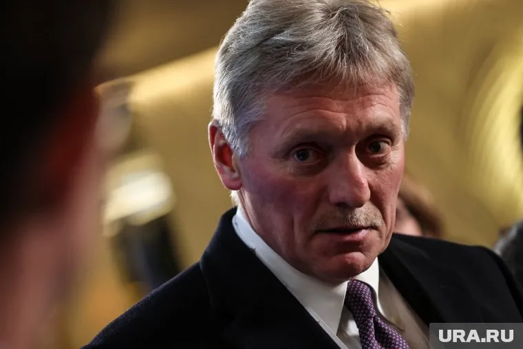 Ранее в правительстве РФ не слышали жалоб от Франции, заявил Песков
